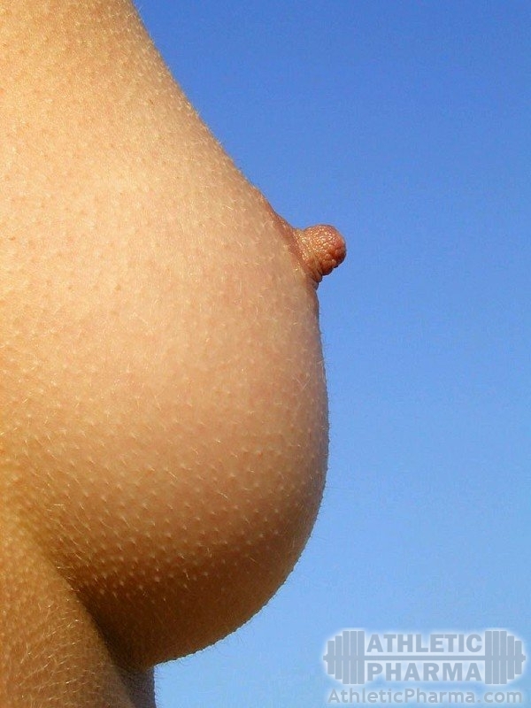 gallery_4913_2_199435.jpg
